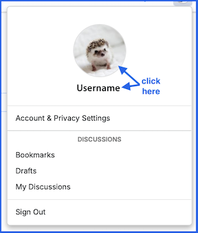 Screenshot 2024-05-05 at 6.08.11 PM.png