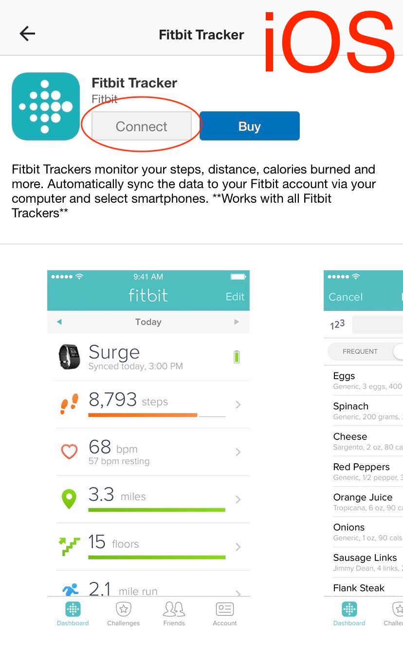 myfitnesspal vs fitbit